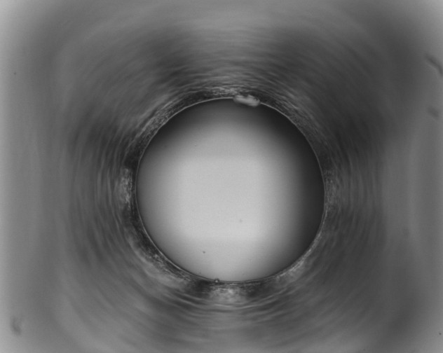 X0000102370174200808081201