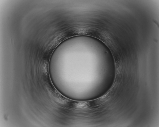 X0000102370175200808081201