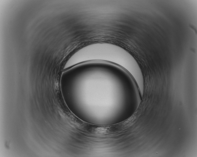 X0000102370176200808081201