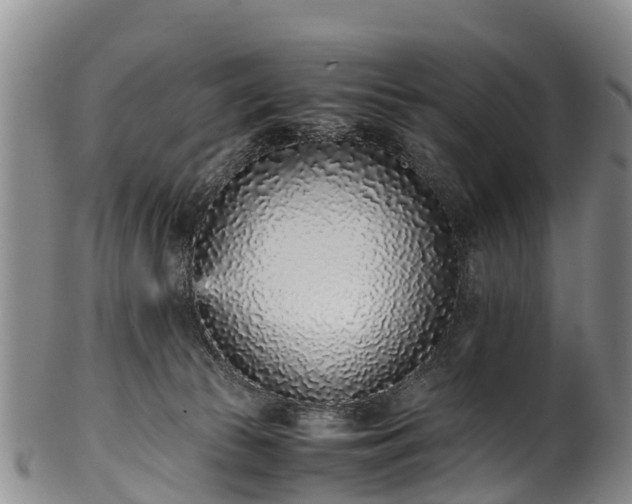 X0000102370177200808081201