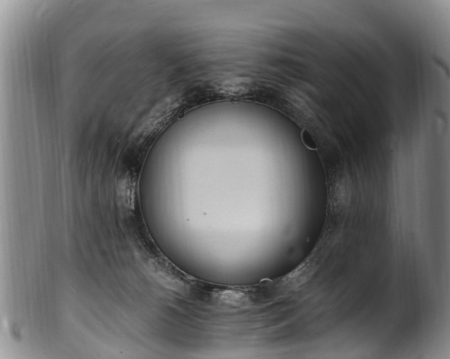 X0000102370180200808081201