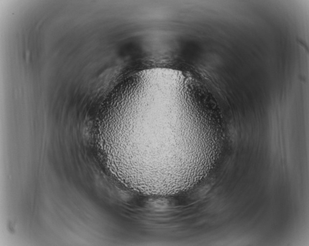 X0000102370181200808081201