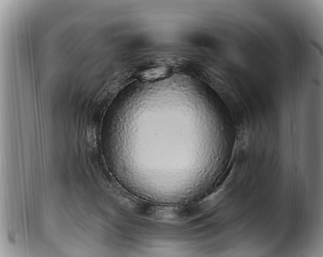 X0000102370182200808081201