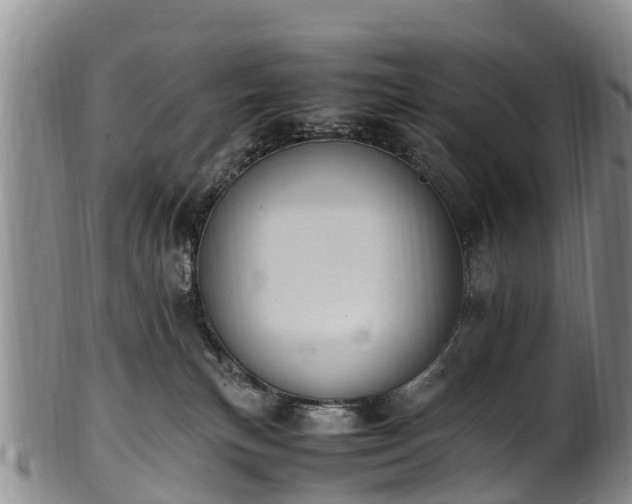 X0000102370183200808081201