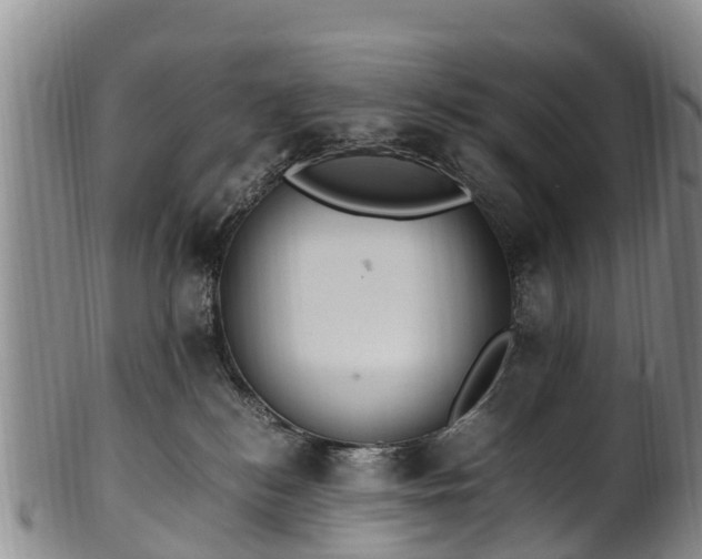 X0000102370184200808081201