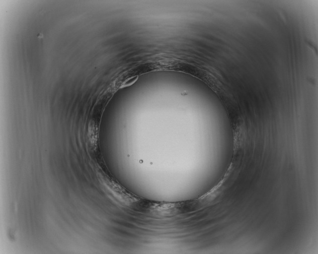 X0000102370186200808081201