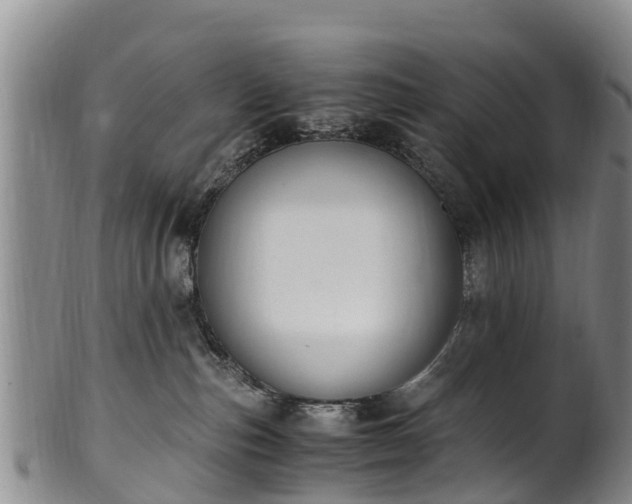 X0000102370187200808081201