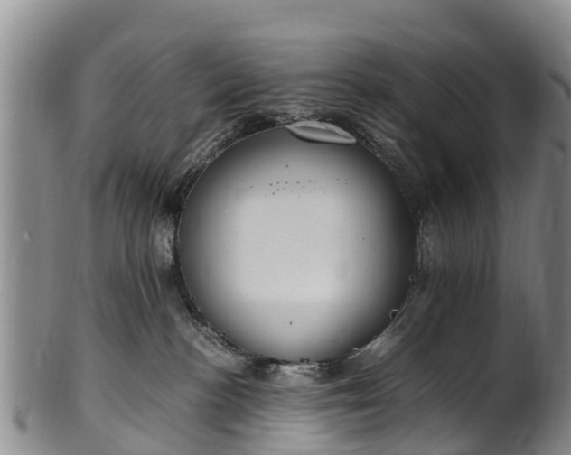 X0000102370188200808081201