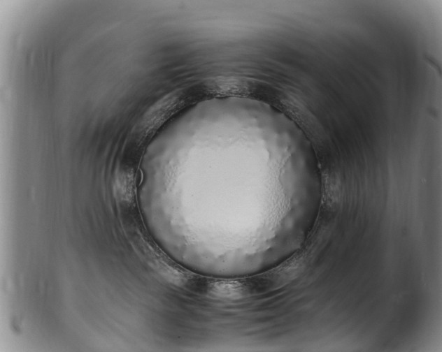 X0000102370189200808081201