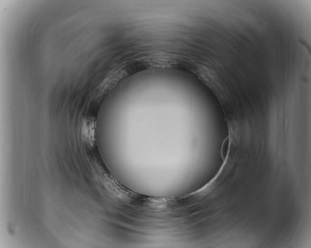 X0000102370190200808081201