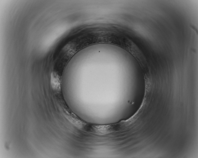 X0000102370191200808081201