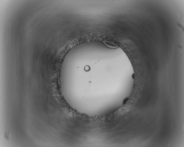 X0000102370192200808081201