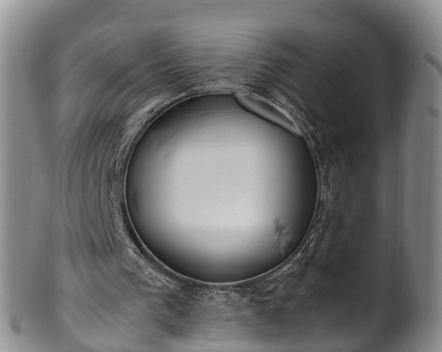 X0000102370193200808081200