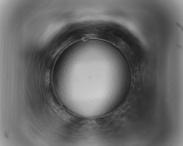 X0000102370194200808081200