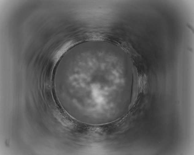 X0000102370195200808081200