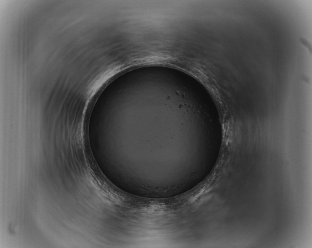 X0000102370196200808081200