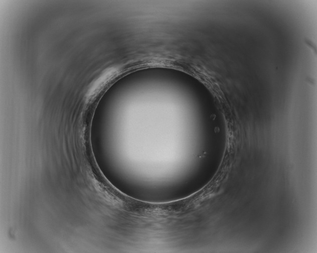 X0000102370197200808081200