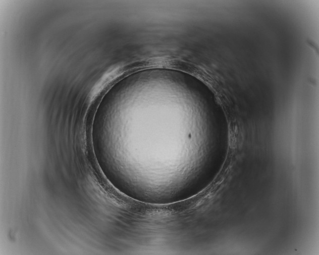 X0000102370198200808081200