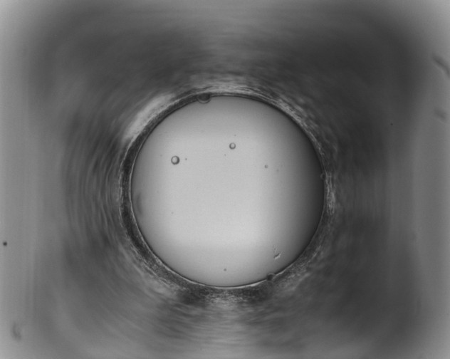 X0000102370199200808081200