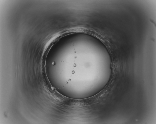 X0000102370200200808081200