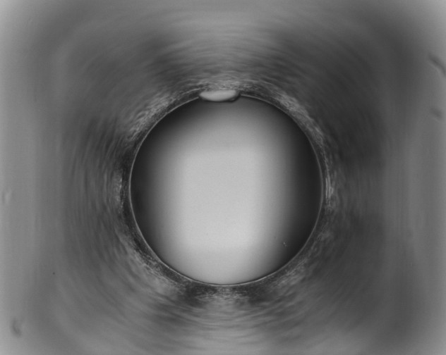 X0000102370201200808081200