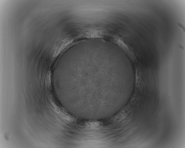 X0000102370202200808081200