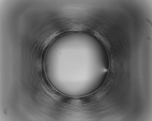 X0000102370203200808081200