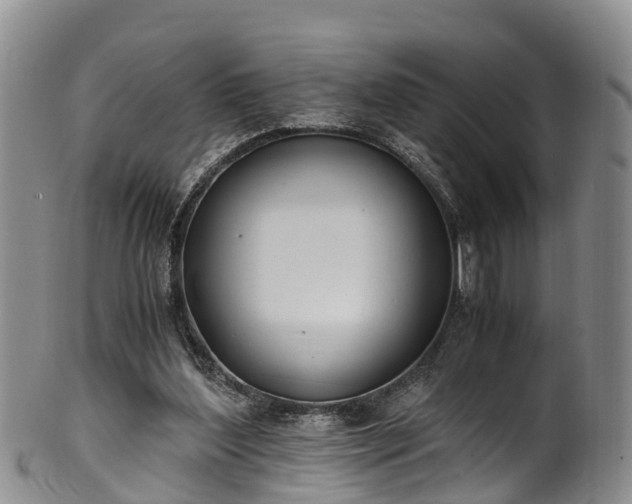 X0000102370204200808081200