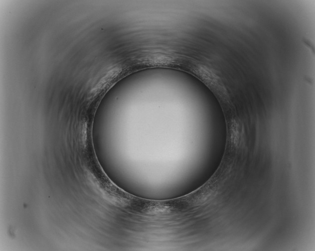 X0000102370206200808081200