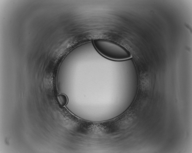 X0000102370207200808081200