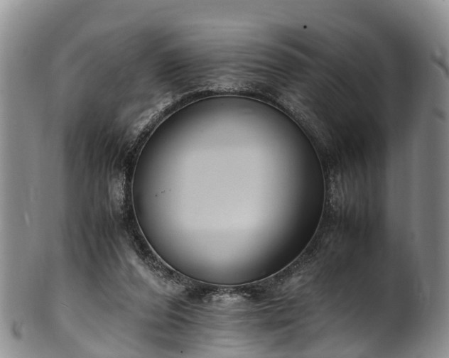 X0000102370208200808081200