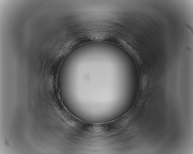 X0000102370209200808081200