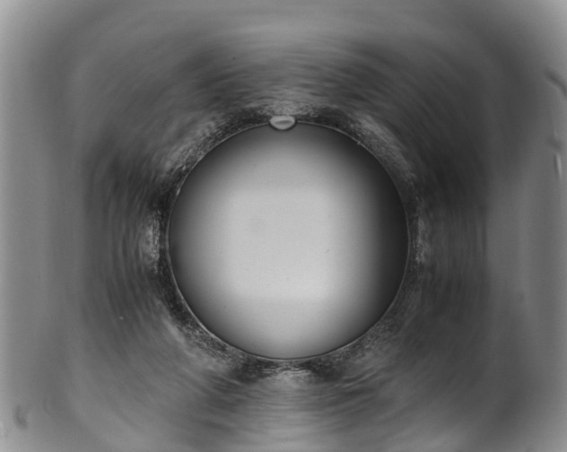 X0000102370210200808081200