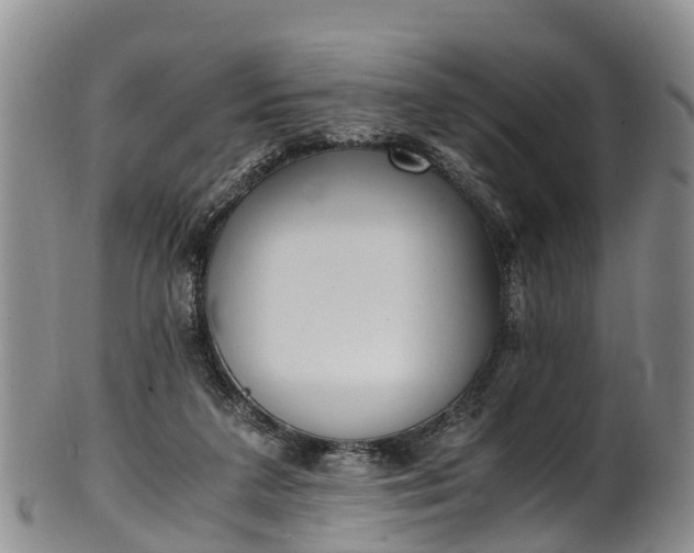 X0000102370211200808081200