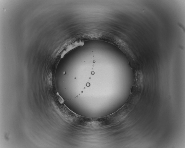 X0000102370212200808081200