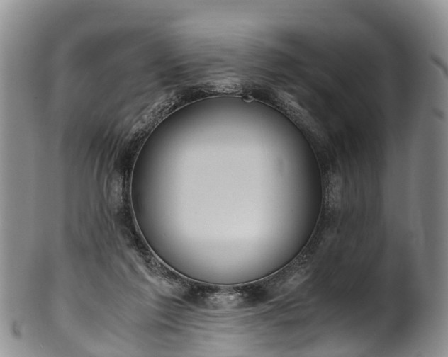 X0000102370213200808081200