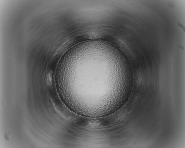 X0000102370214200808081200