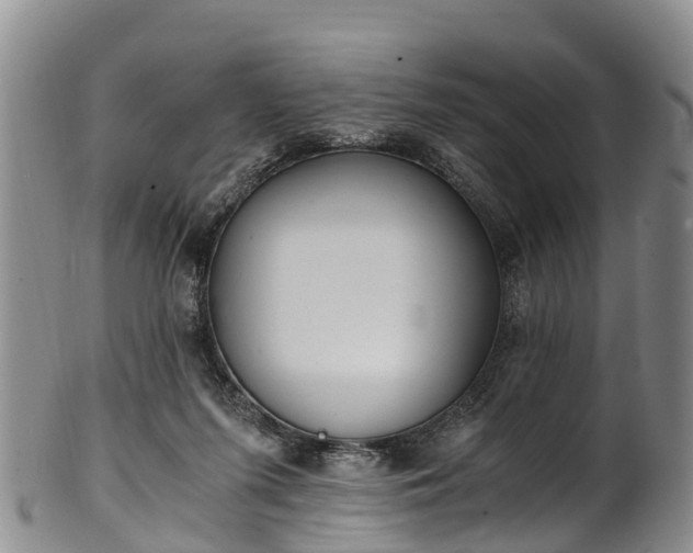 X0000102370215200808081200