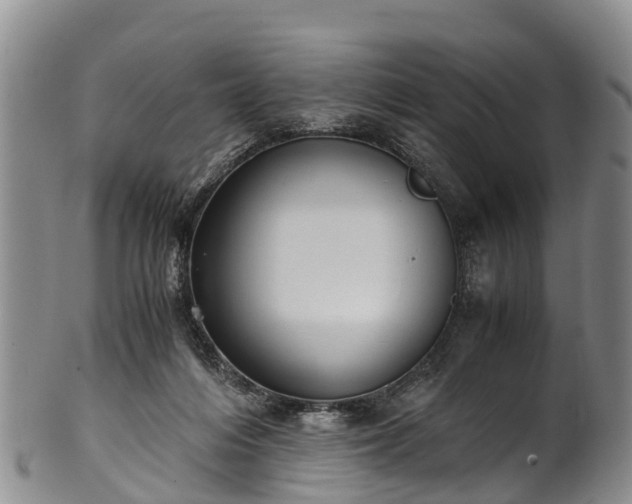 X0000102370216200808081200