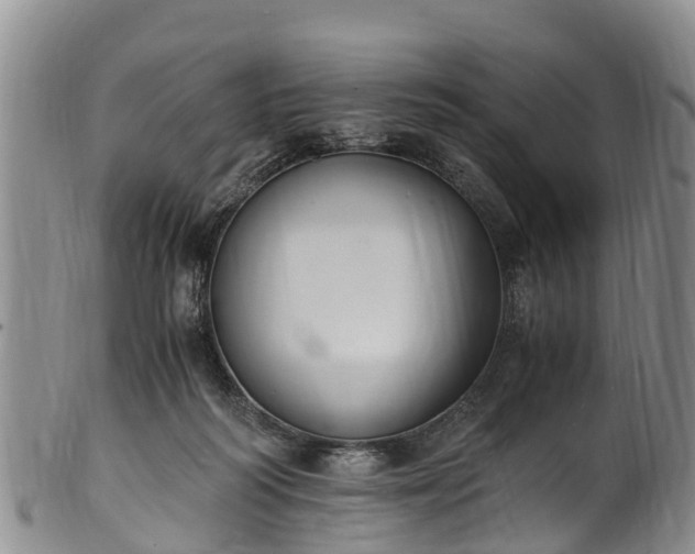 X0000102370218200808081200