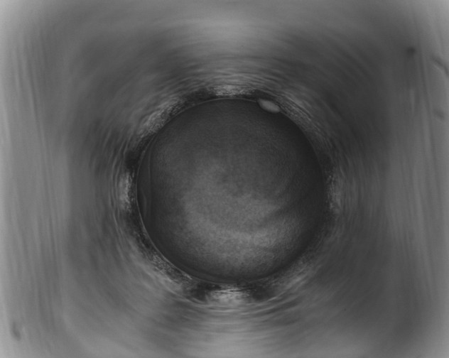 X0000102370219200808081200