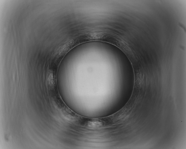 X0000102370220200808081200