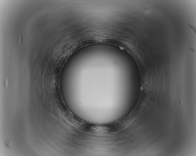 X0000102370221200808081200