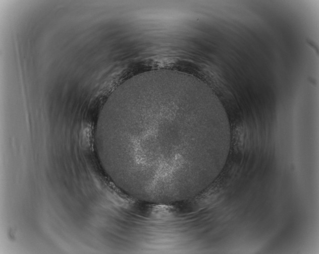 X0000102370222200808081200