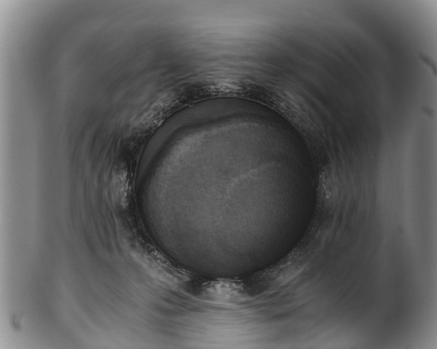 X0000102370223200808081200