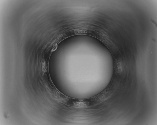 X0000102370224200808081200