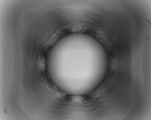 X0000102370226200808081159