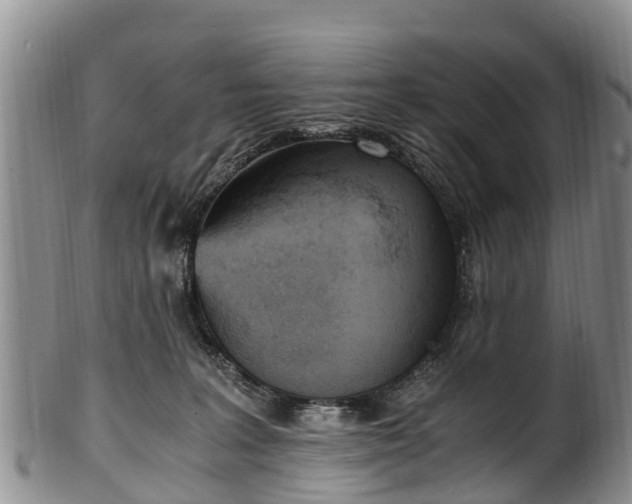 X0000102370227200808081159