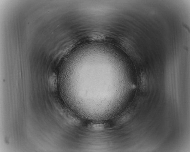 X0000102370228200808081159