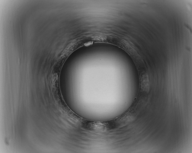 X0000102370229200808081159